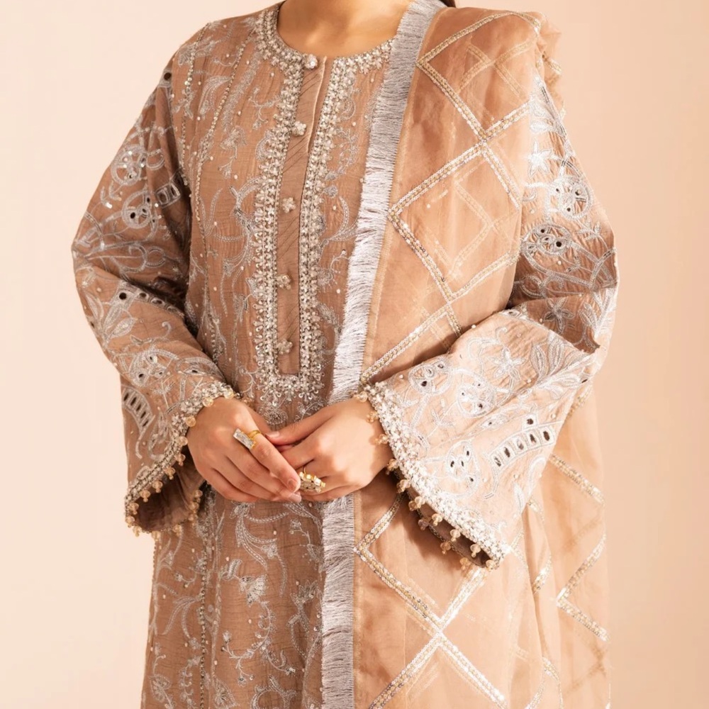 Embroidered Tan and Silver Outfit